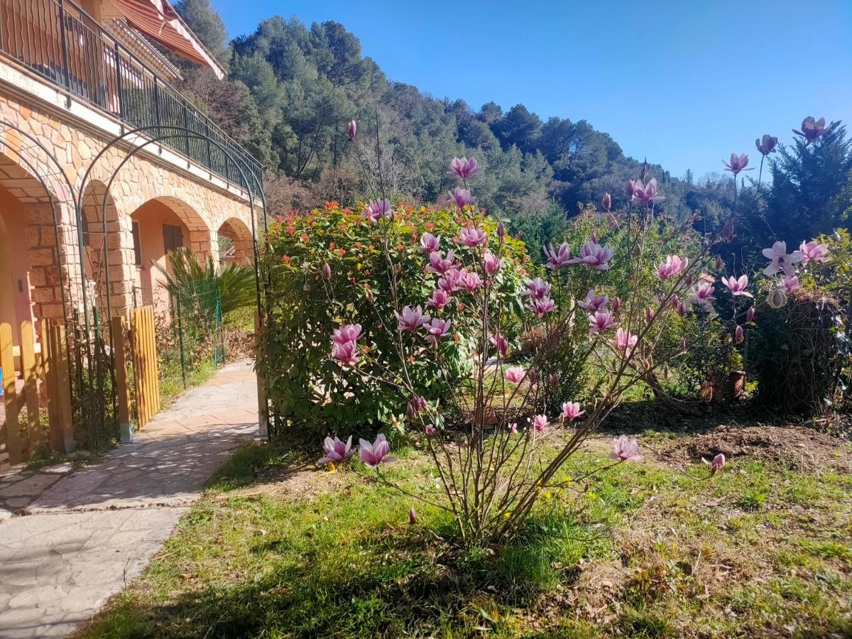 Un Brin De Paille Cagnes-sur-Mer Exterior foto