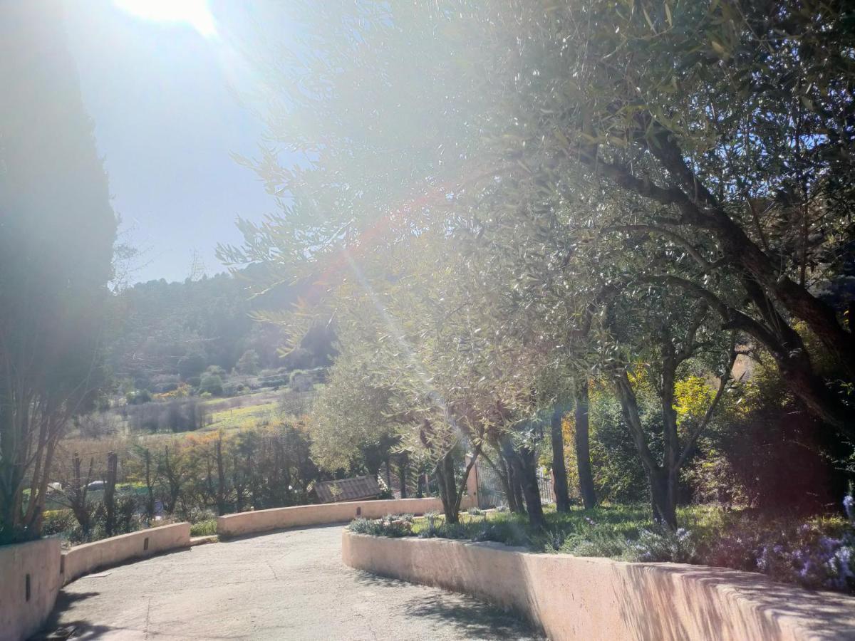 Un Brin De Paille Cagnes-sur-Mer Exterior foto