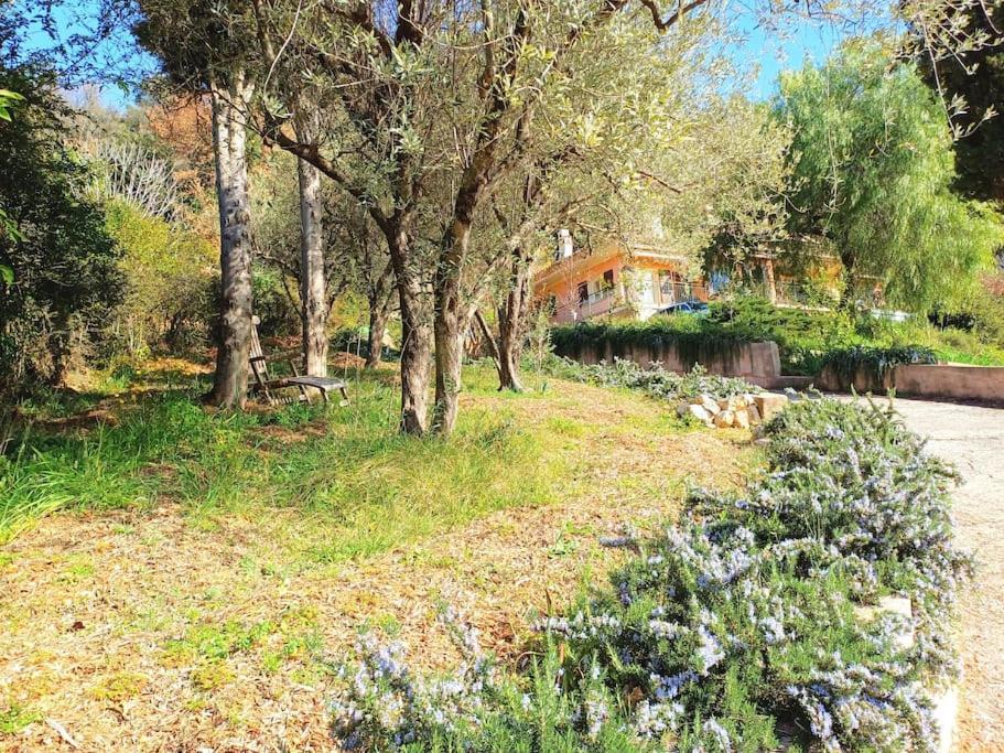 Un Brin De Paille Cagnes-sur-Mer Exterior foto