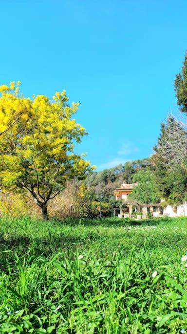 Un Brin De Paille Cagnes-sur-Mer Quarto foto